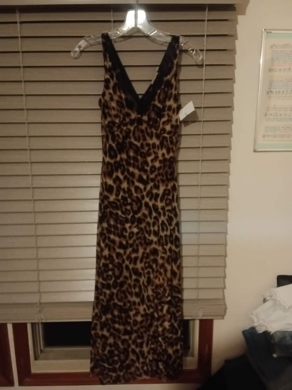 Leopard-Print Maxi Slip Dress in Brown and Black
